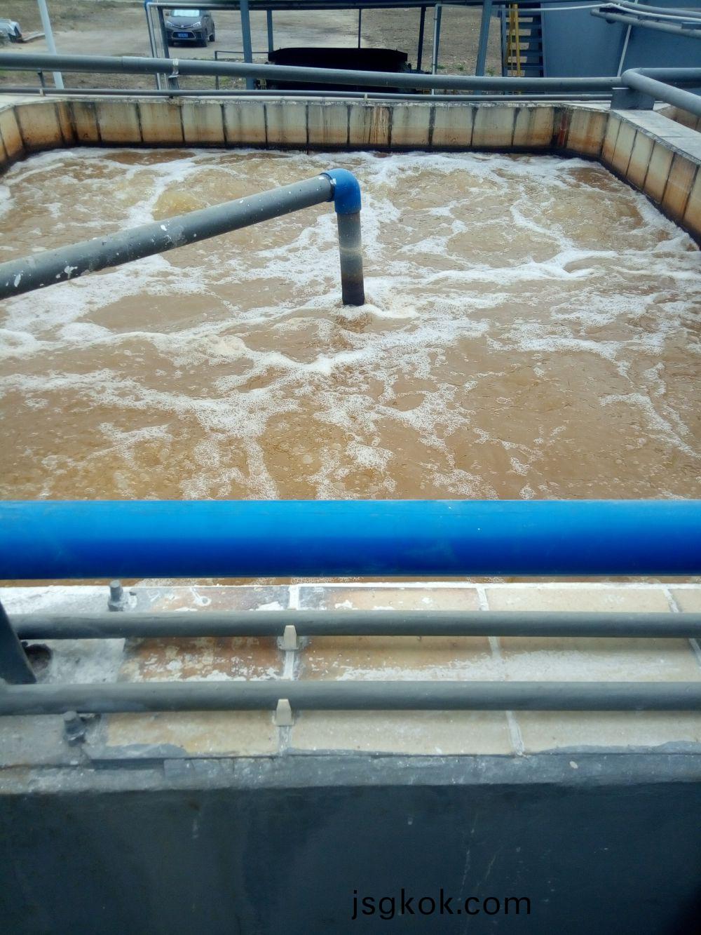 Wastewater treatment of a certain oil and fat chemical industry in Guangzhou