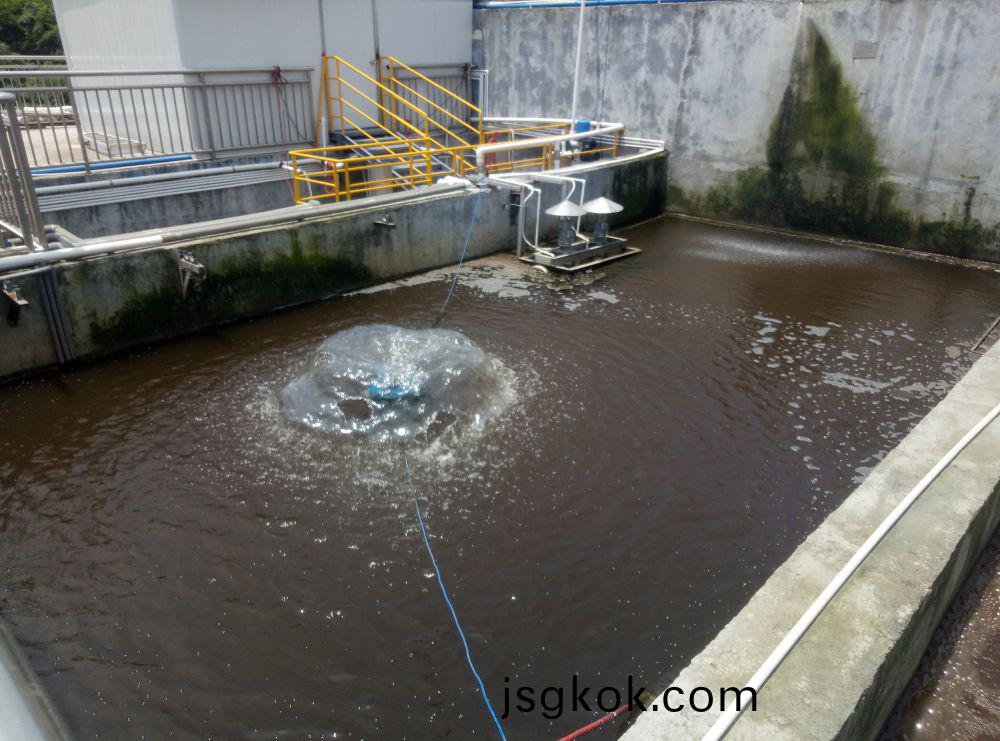 Wastewater from a biopharmaceutical plant in Guangzhou