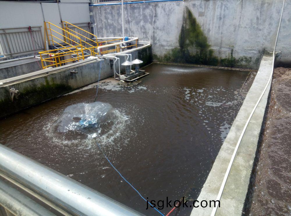 Wastewater from a biopharmaceutical plant in Guangzhou