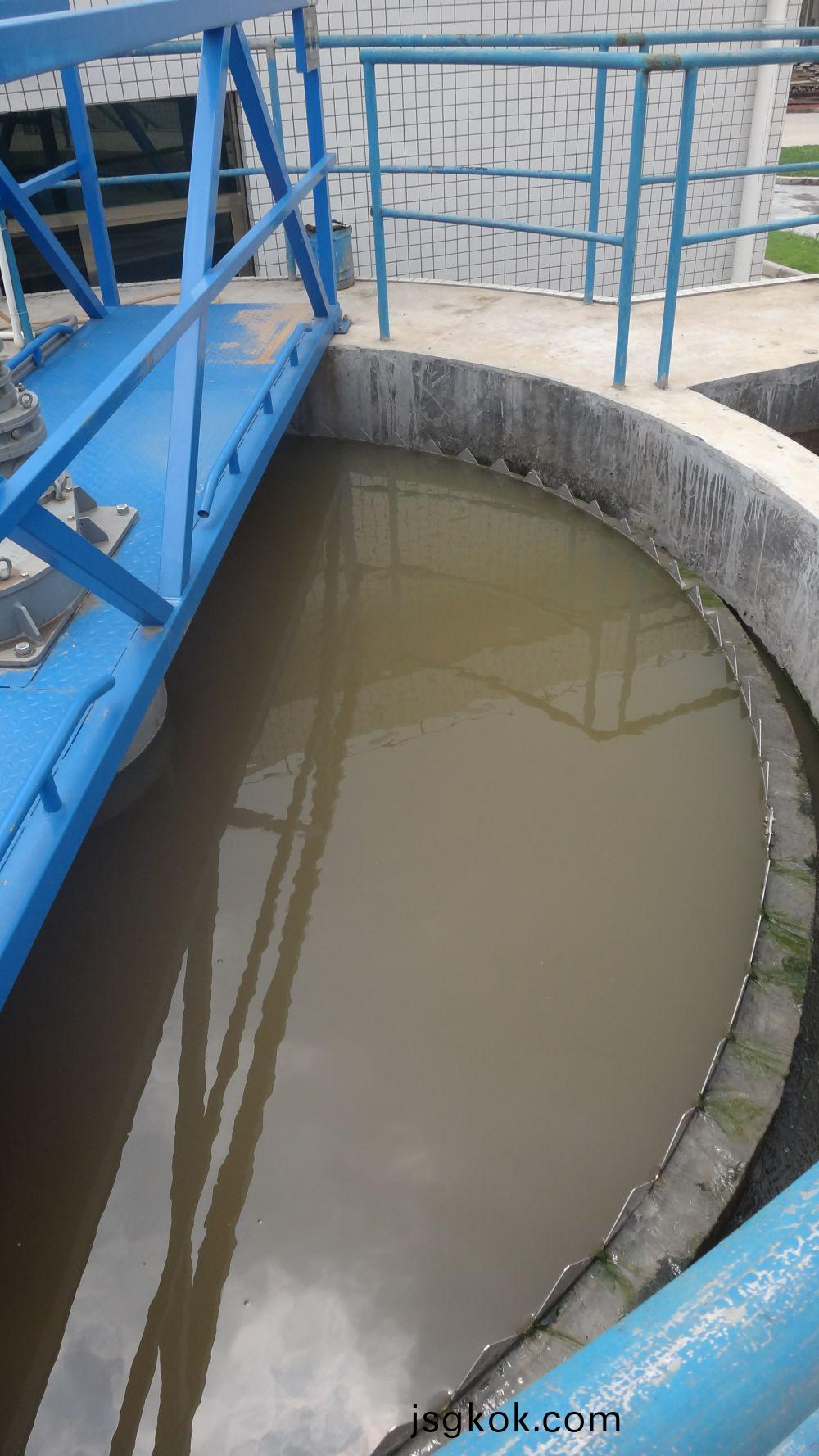 A certain garbage dump in Qingyuan