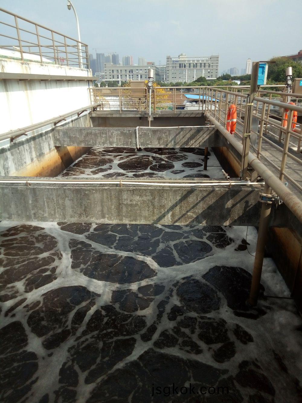 廣(guang)州某(mou)某啤酒廢水